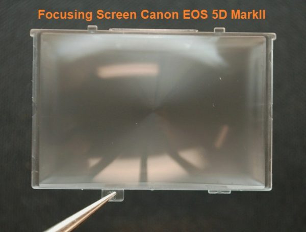 Focusing Screen Canon DS126201 EOS 5D MarkII